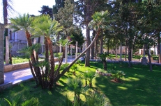 Renaissance garden with mediterranean plants